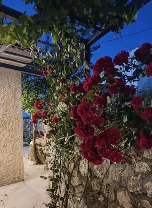 Villa Aiolia Kondoyenadha ภายนอก รูปภาพ